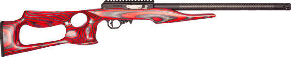 Colorful rifle with unique wood design