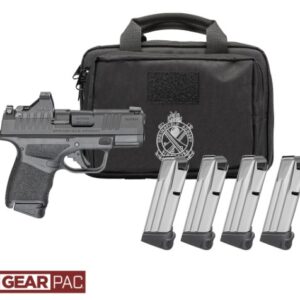 Handgun with magazines and storage case