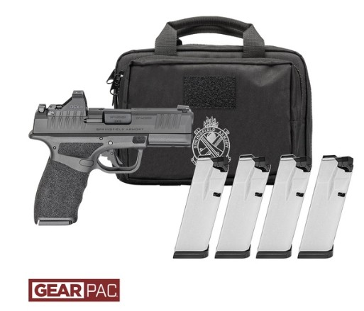 Handgun with magazine and carrying case