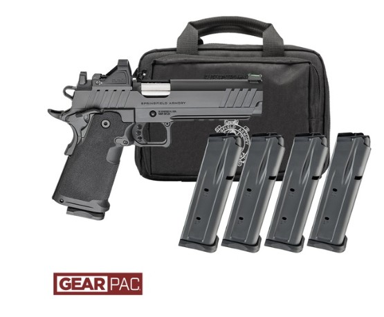 Handgun with magazine and carrying case