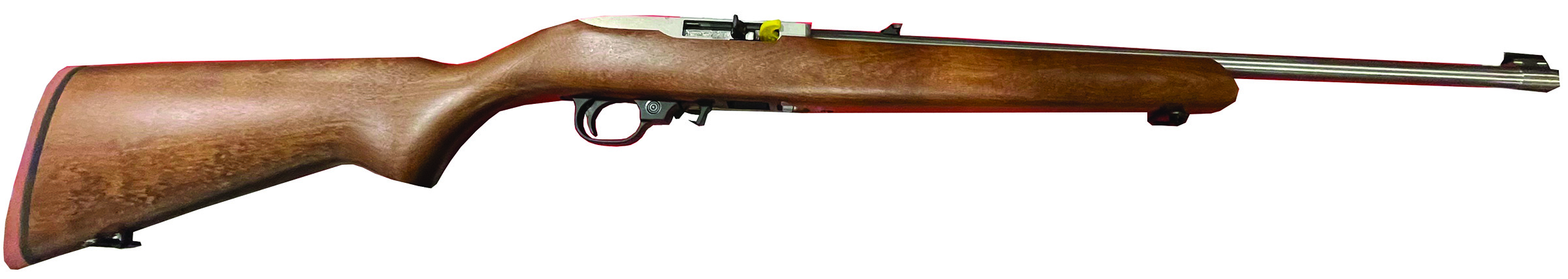 10/22 22LR  18.5" SS/Stained Beech 10rd
