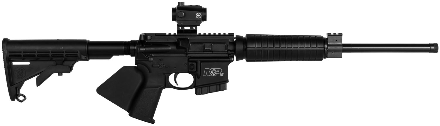Black semi-automatic rifle with optical sight.