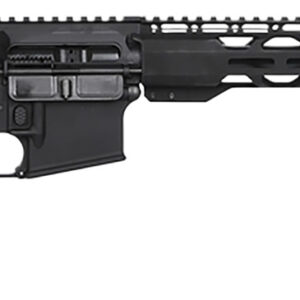 Black rifle with tactical design and features