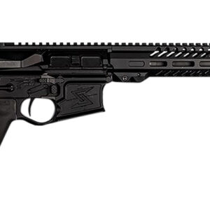 Black modern rifle with adjustable stock.