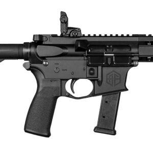 Black tactical firearm with adjustable stock.