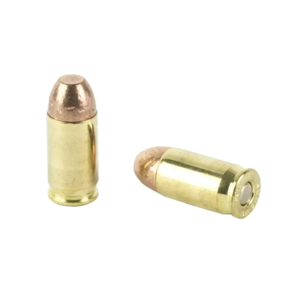 Two brass bullet cartridges on a white background.