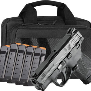 Handgun with magazines and carrying case