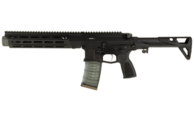 Black rifle with adjustable stock and magazine.