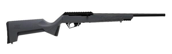 Side view of a modern rifle