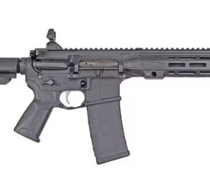 Black semi-automatic rifle displayed on white background.