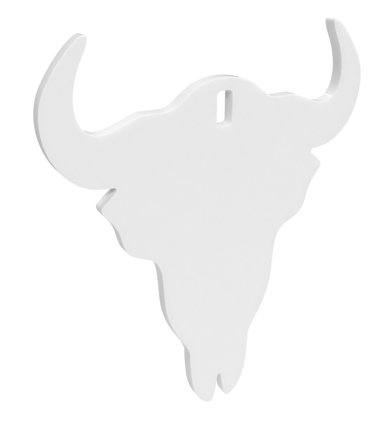 White bull skull decoration on a plain background