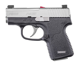 Compact handgun with silver and black design.