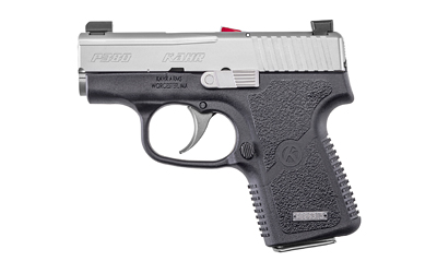 Compact handgun with silver and black design.