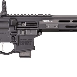 Black rifle with an adjustable stock and rail system