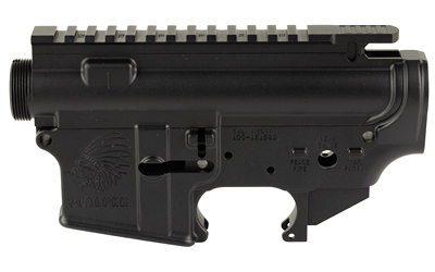 Black firearm receiver with rail system.