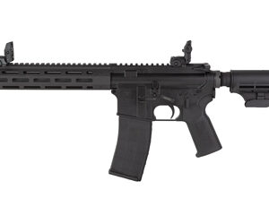 Modern black rifle with vertical grip and sights