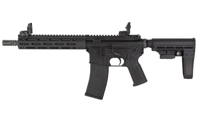 Modern black rifle with vertical grip and sights