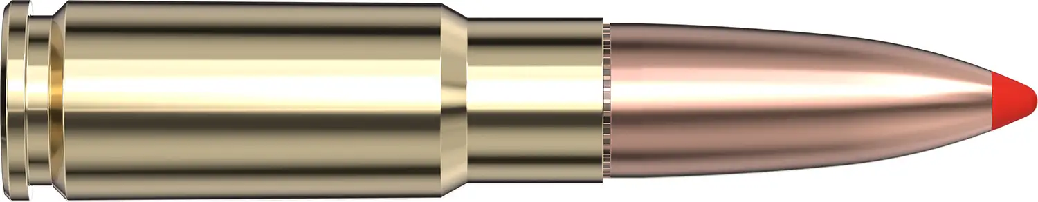 Close-up of a metallic bullet cartridge.