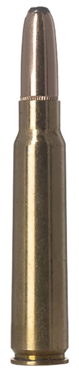 A close-up of a bullet cartridge