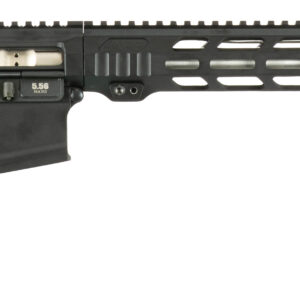 APF DMR 22ARC 2.0 18 MAGPUL ACS MLOK