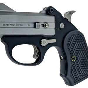 Bond Arms Stinger Fireball .380 ACP Derringer