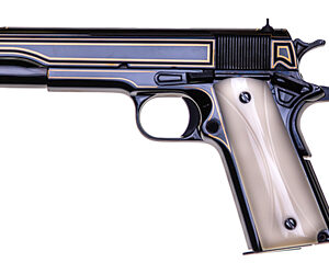 Black and gold decorative handgun design.