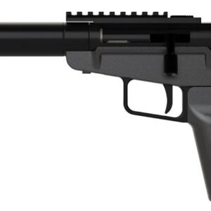 DARK MOUNTAIN ARMS STOW AWAY 9MM 5 TB BRACE