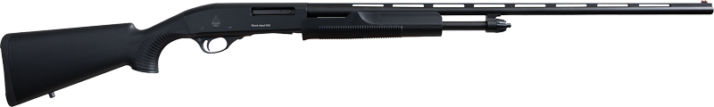 Black shotgun with a sleek design.