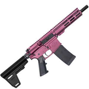 223WYLDE PSTL W/BRC 30RD CHY