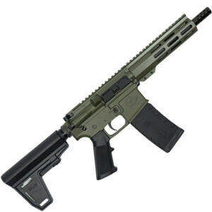 223WYLDE PSTL W/BRC 30RD ODG