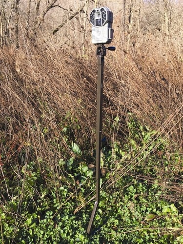 Trail camera mounted on a sturdy pole