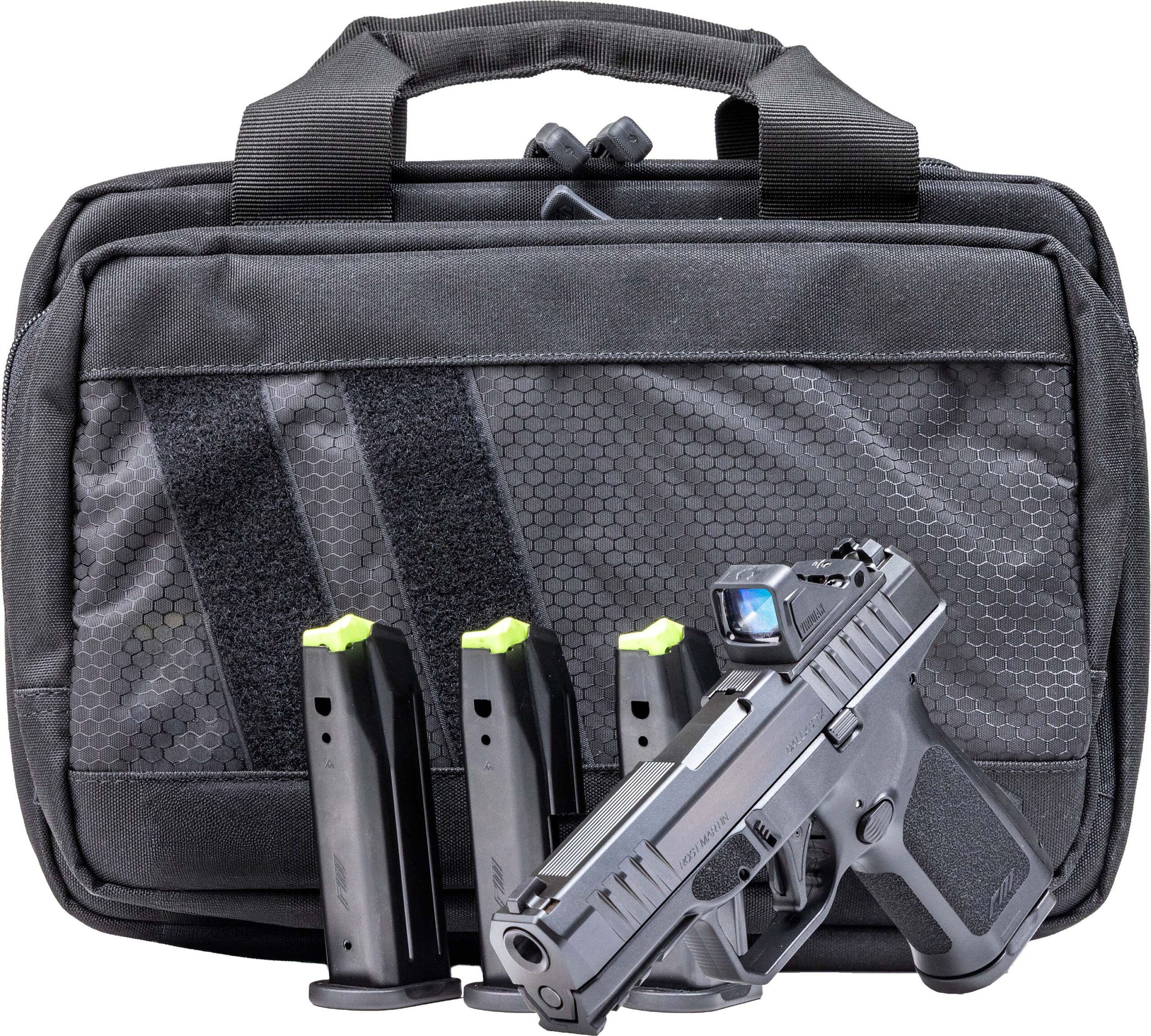 Handgun with magazine and carrying case