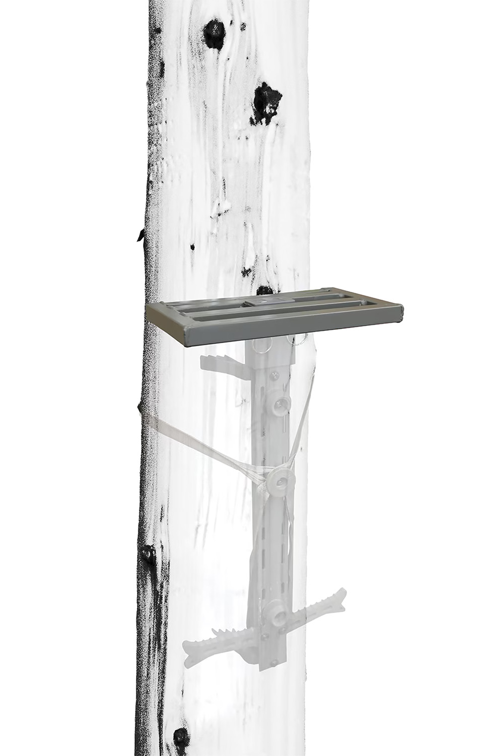 Mounting bracket attached to a wooden surface.