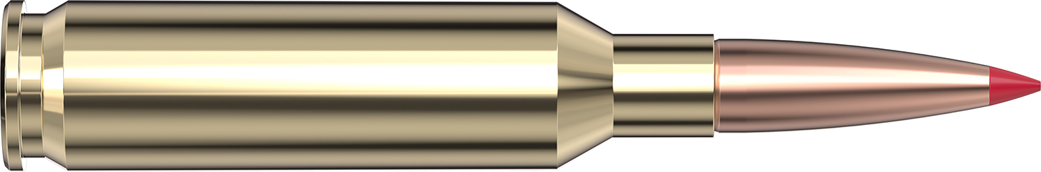 Close-up of a shiny metallic bullet