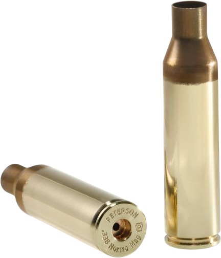 Two brass rifle cartridges on a white background.