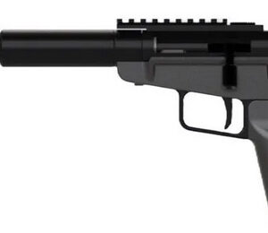Black rifle with a long barrel and stock