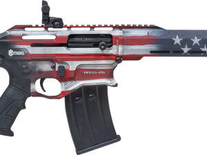 Decorative rifle featuring red, white, and blue design.
