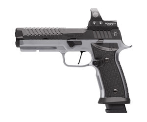Detailed image of a modern handgun.