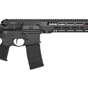 Black semi-automatic rifle on a white background.