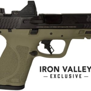 Handgun with tan grip and black slide.