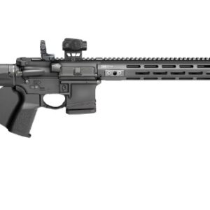 Black rifle with three magazines displayed beside it.