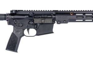 Side view of a modern black rifle.