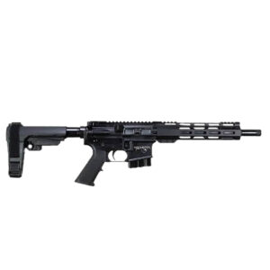 Black firearm with adjustable stock and rail system.