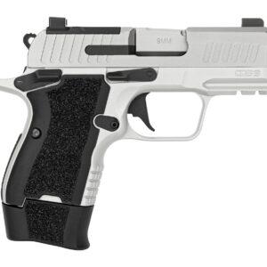 Silver 9mm handgun with textured grip.