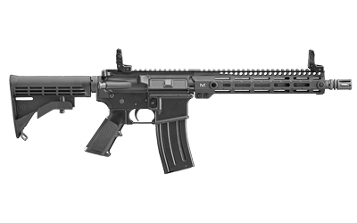 Black modern rifle with adjustable stock.