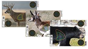 Three wildlife images featuring deer and bear.