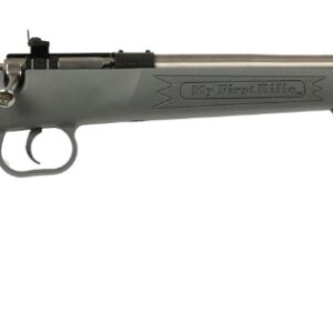 Gray rifle with stainless steel barrel.
