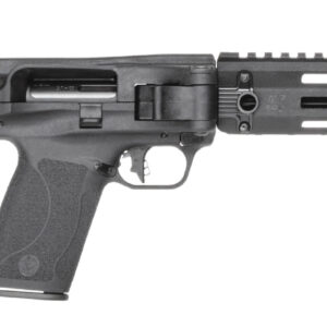 Black semi-automatic rifle with adjustable stock