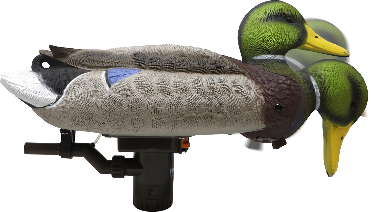 Realistic mallard duck decoys on motorized base