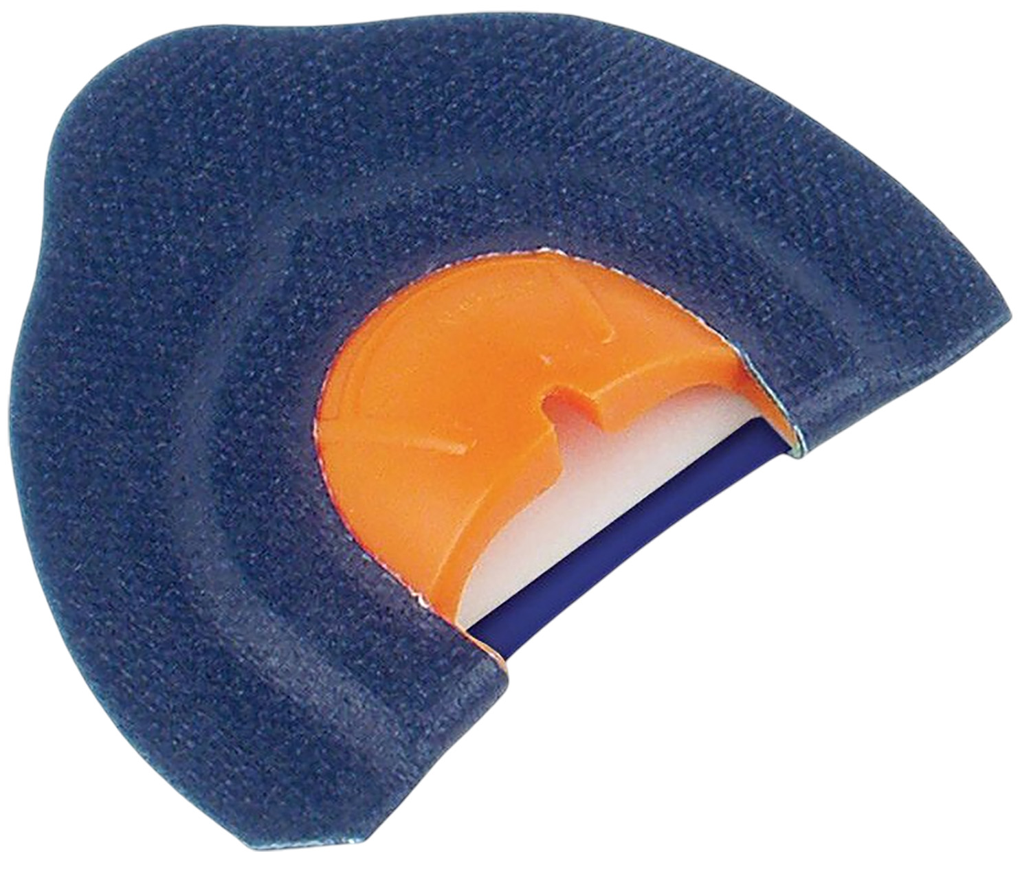 Cross-sectional model of human hip joint